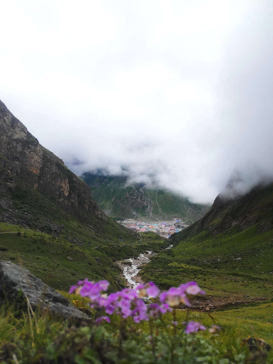 Valley of Flowers
