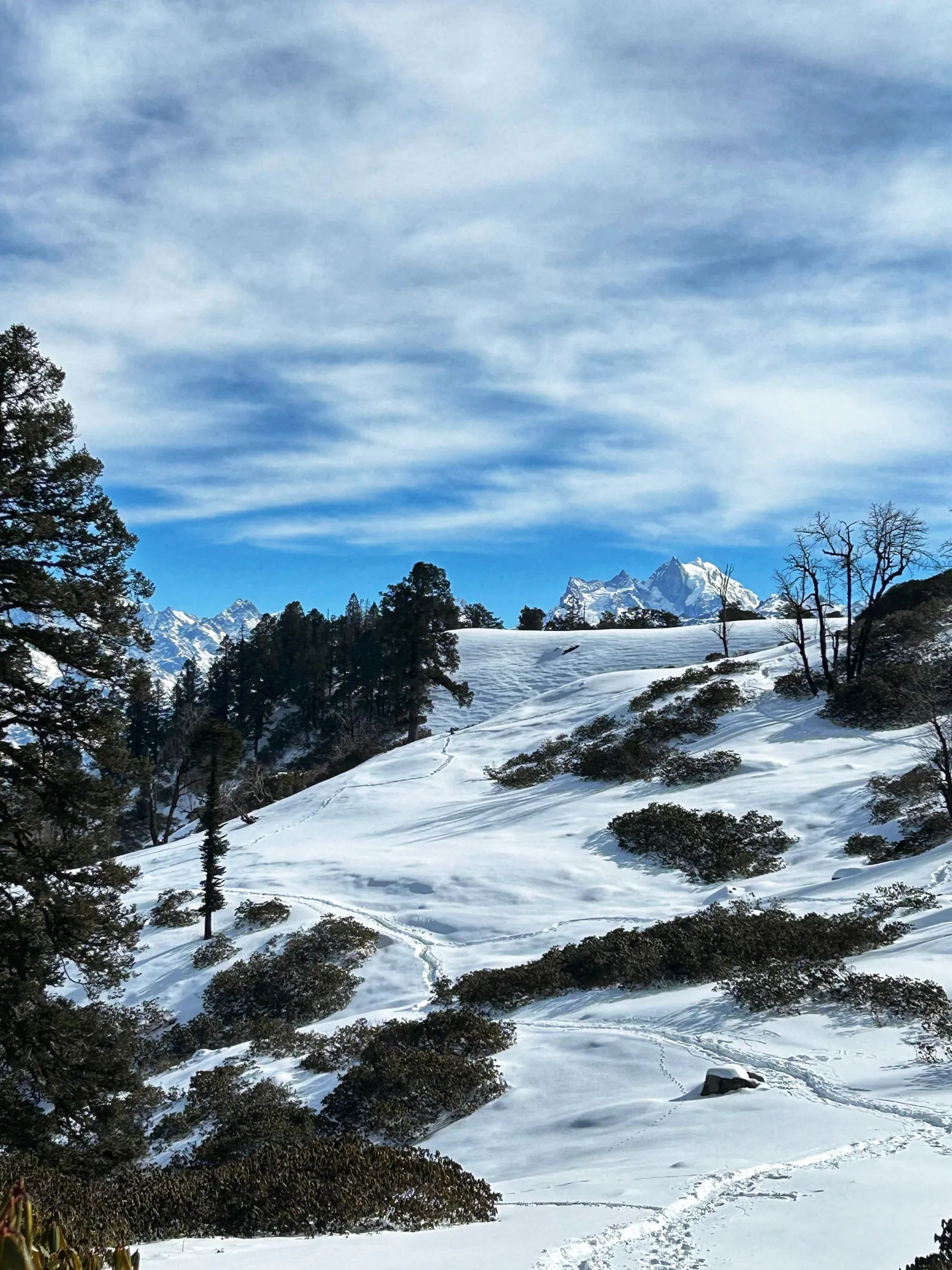 Kedarkantha winter summit